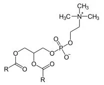 Fosfatidilcolina